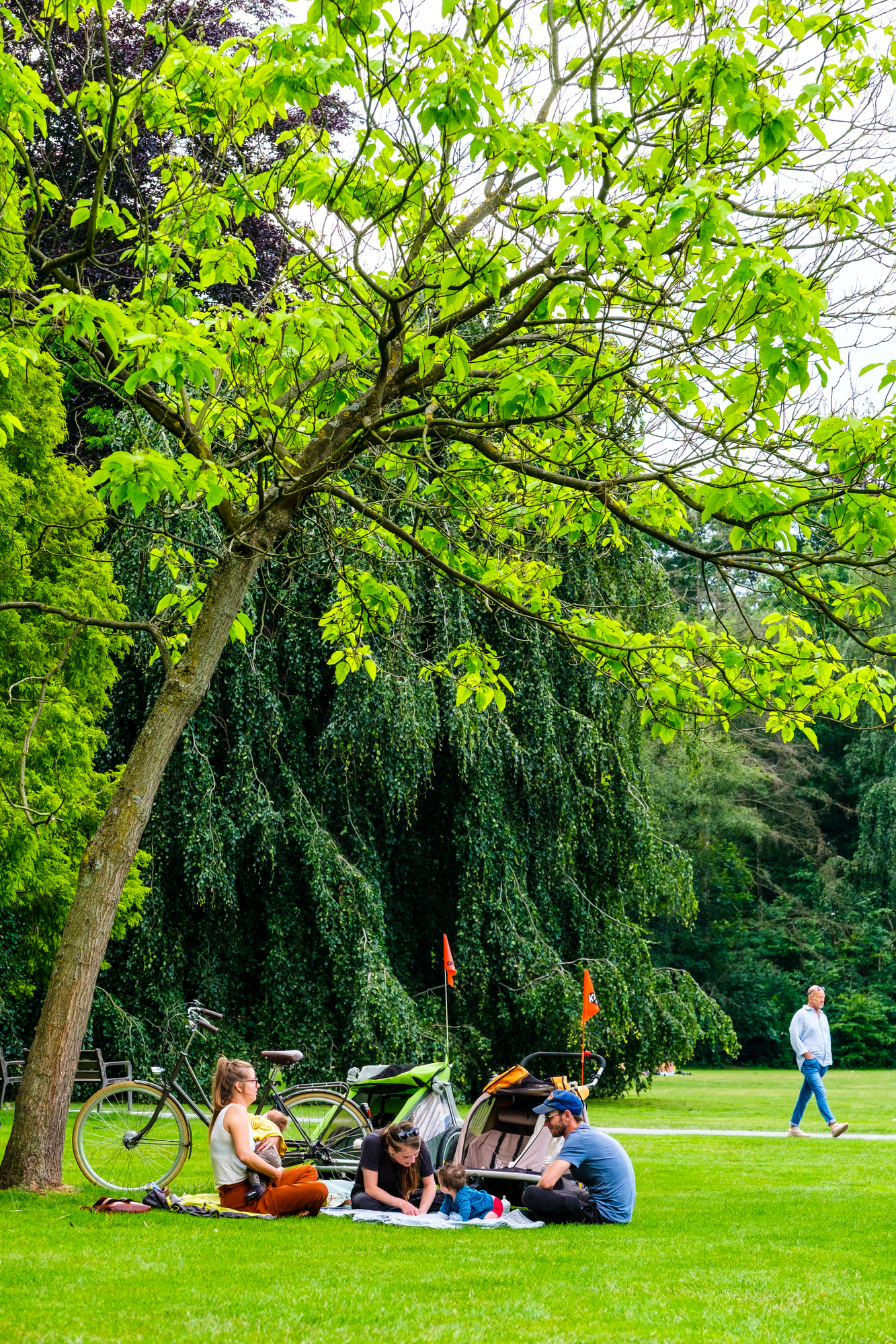 Foto van mensen in het Te Boelaarpark